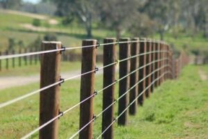 Highlands Ranch Farm Fencing cable wire fence 300x200